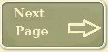 Next button